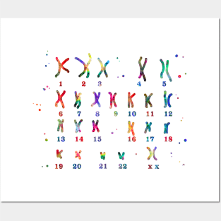 Female chromosome Posters and Art